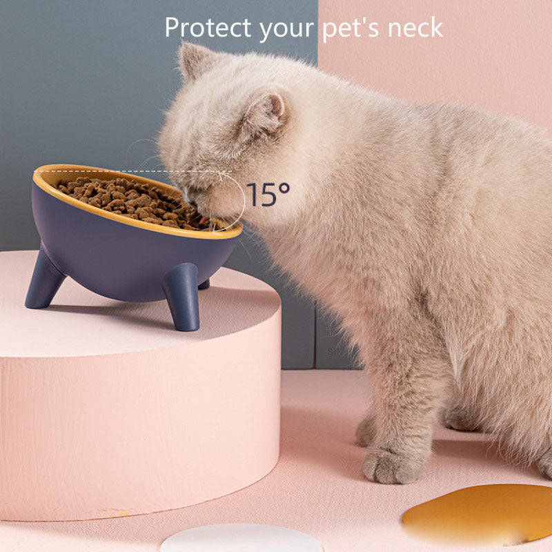 15° Tilt Design Cat Bowl