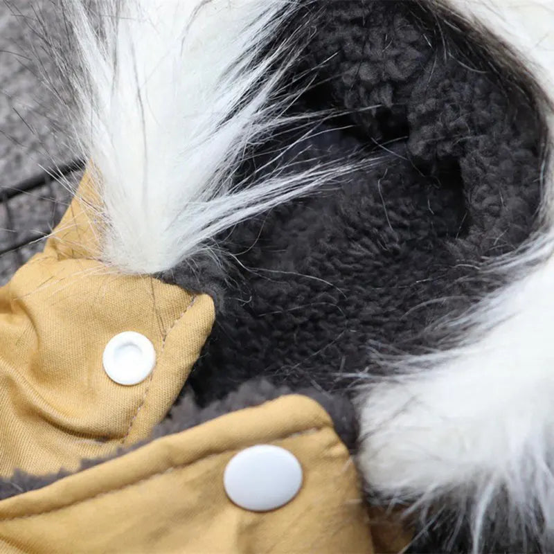 Winter Dog Coat – Stylish, Warm, and Comfortable