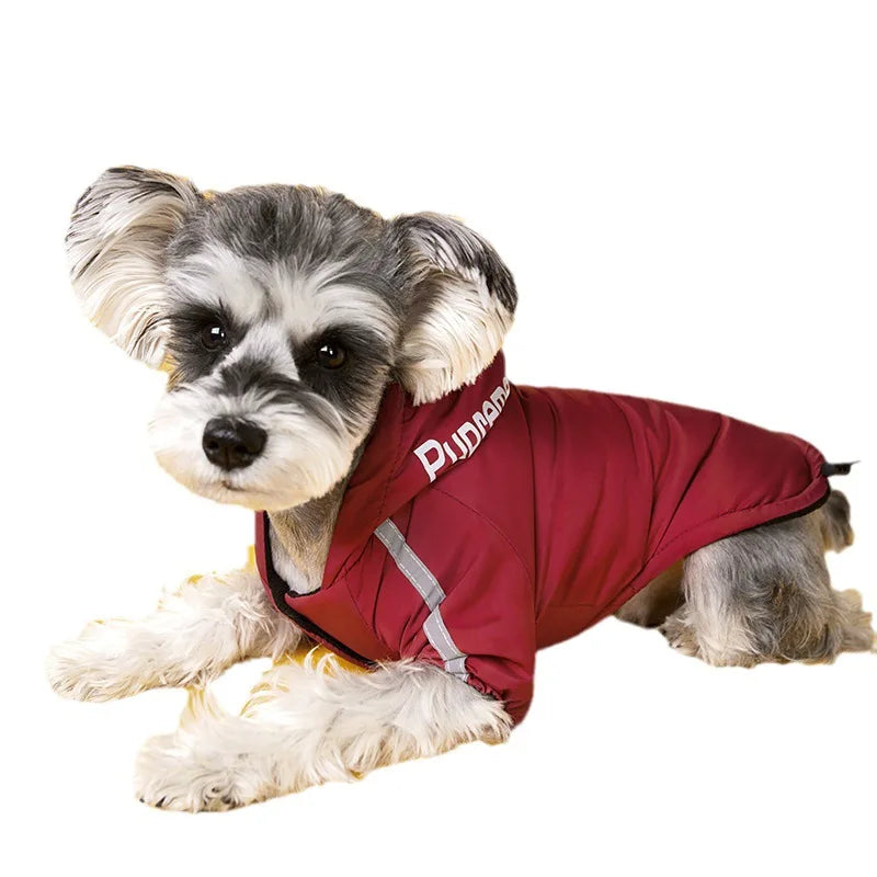 Waterproof Jacket for Dogs & Cats - Autumn/Winter