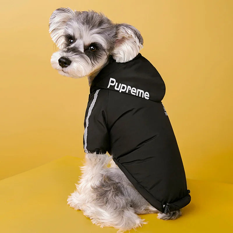 Waterproof Jacket for Dogs & Cats - Autumn/Winter