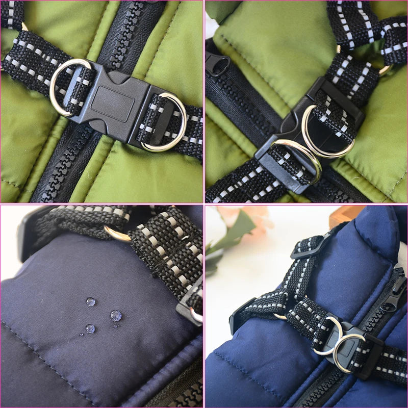 Incredibly Comfortable Dog Jacket With Harness