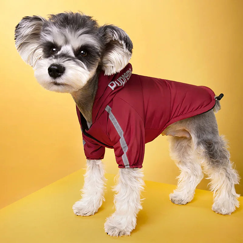 Waterproof Jacket for Dogs & Cats - Autumn/Winter