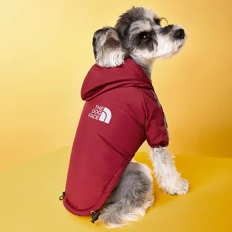 Waterproof Jacket for Dogs & Cats - Autumn/Winter